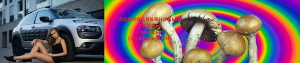 2c-b Карпинск