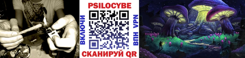 Галлюциногенные грибы GOLDEN TEACHER  Купить где  Нея 